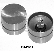 EH4501