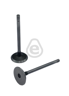 EVI4902