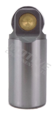 CF1019