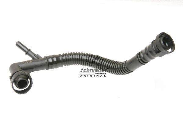 BMS19.00012