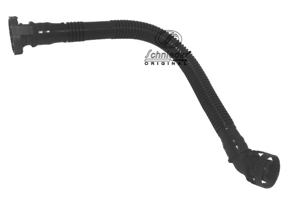 BMS19.00256