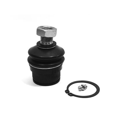 K-8195IT