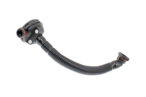 EBV-0025