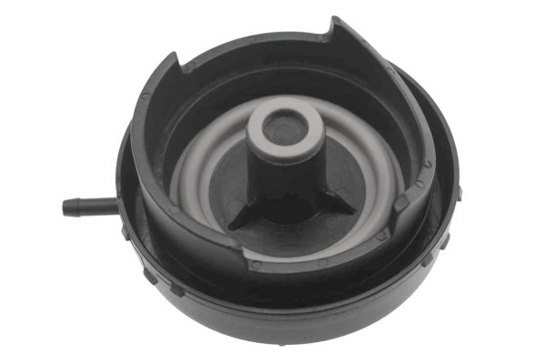 EBV-0027