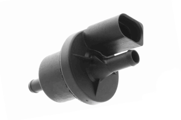 EBV-0012
