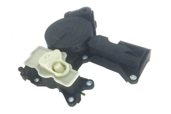 EBV-0035