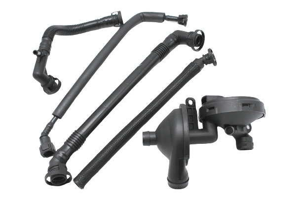 EBV-0033