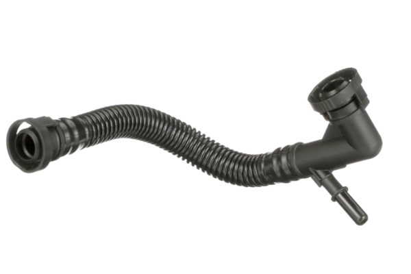 EBV-0034