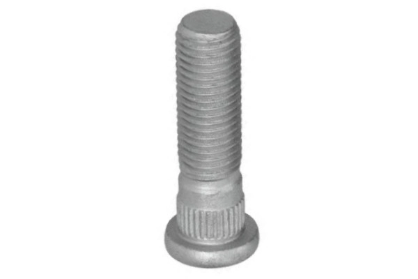 BOL-0019