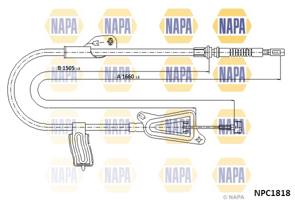 NPC1818