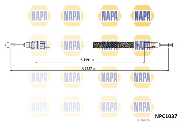 NPC1037