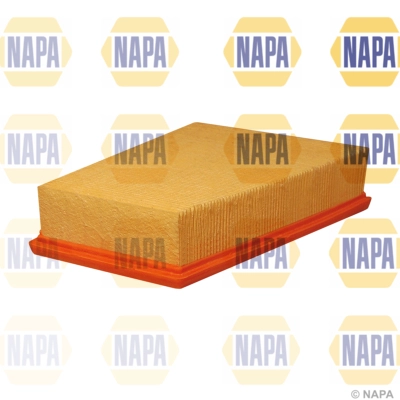 NFA1106