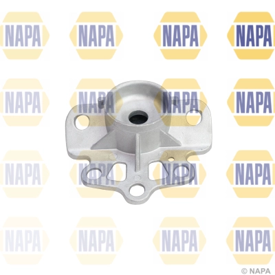 NKM1138