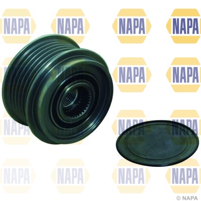 NOP1127