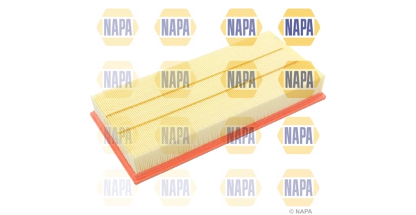 NFA1135