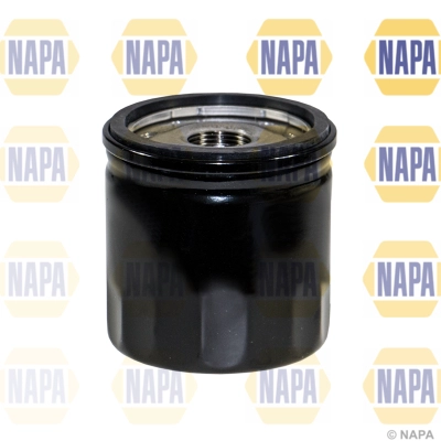 NFO3241