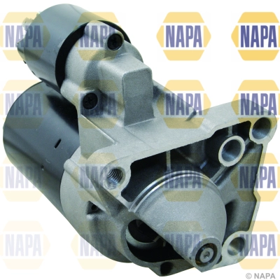 NSM1229