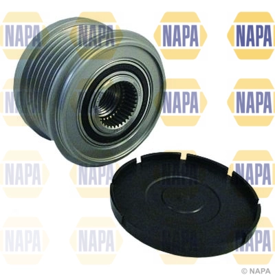 NOP1117