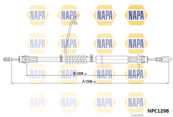 NPC1298