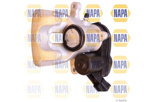 NCA1566