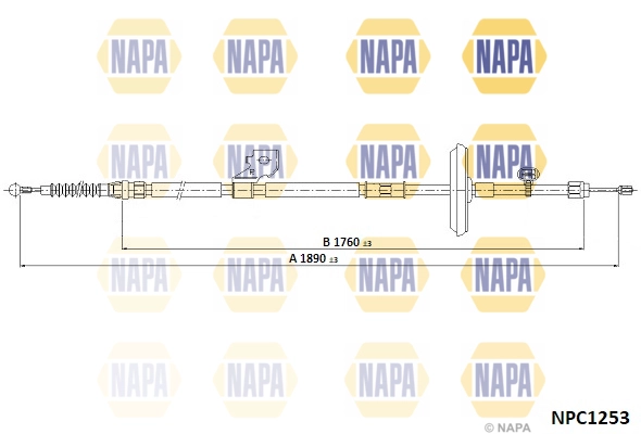 NPC1253