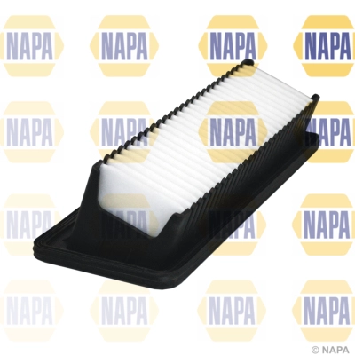 NFA1241