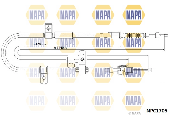 NPC1705