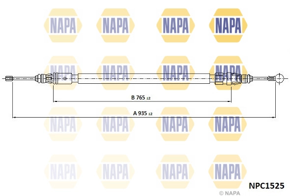 NPC1525
