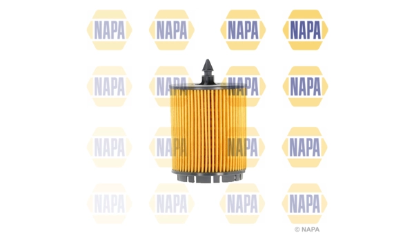 NFO3067