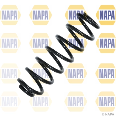 NCS2023
