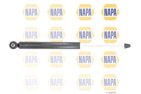 NSA1876
