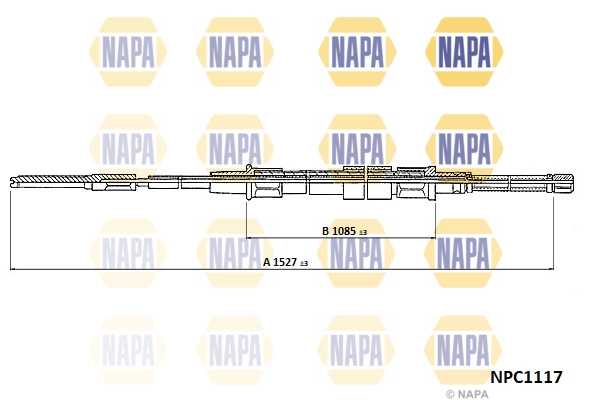 NPC1117