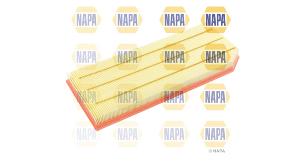 NFA1131
