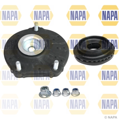 NKM1011