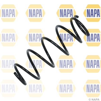 NCS2029