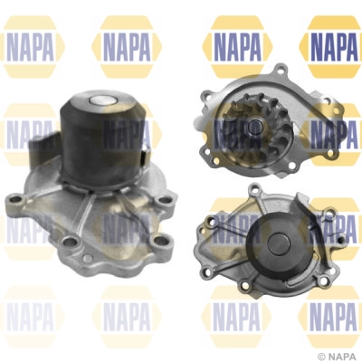 NWP1559