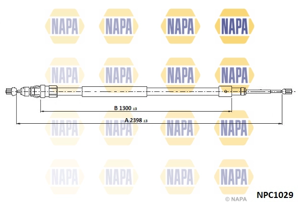 NPC1029