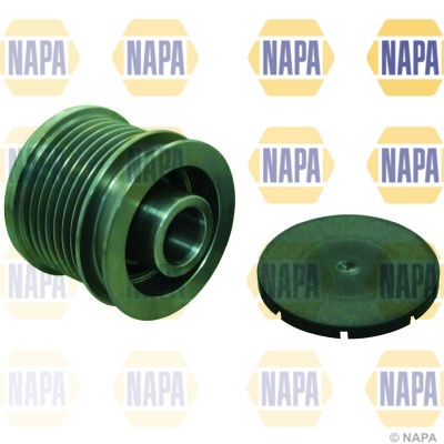 NOP1113
