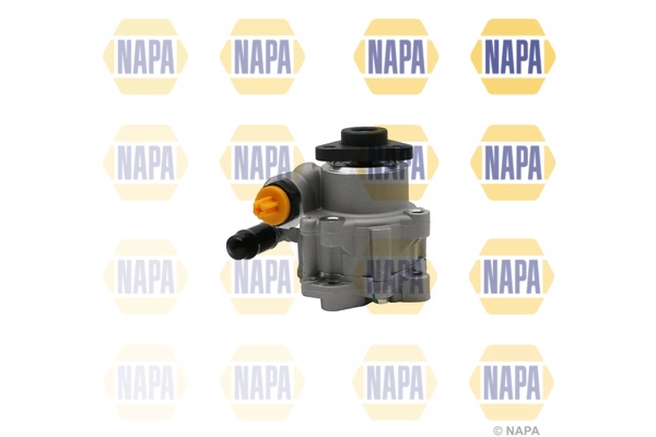 NPS1101