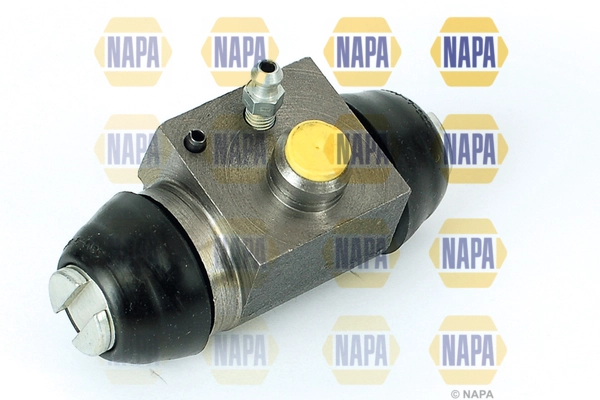 NCY1101