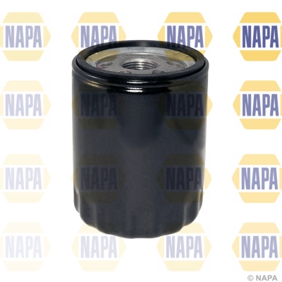 NFO3013