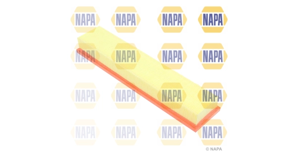 NFA1126