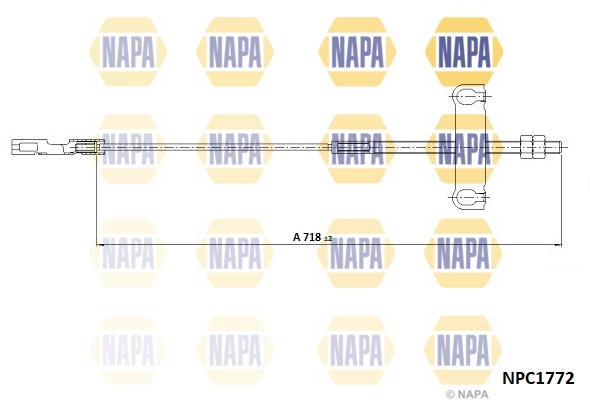 NPC1772