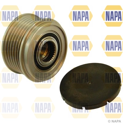 NOP1017