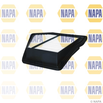 NFA1213