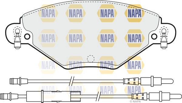 NBP1009
