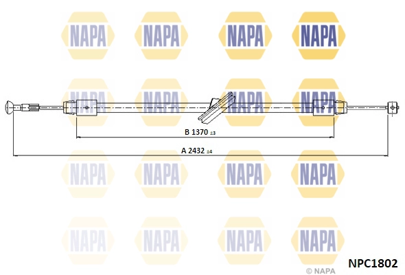 NPC1802
