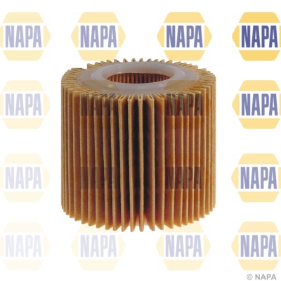 NFO3125