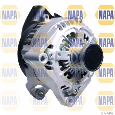 NAL1247