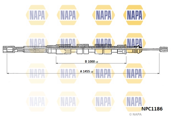 NPC1186